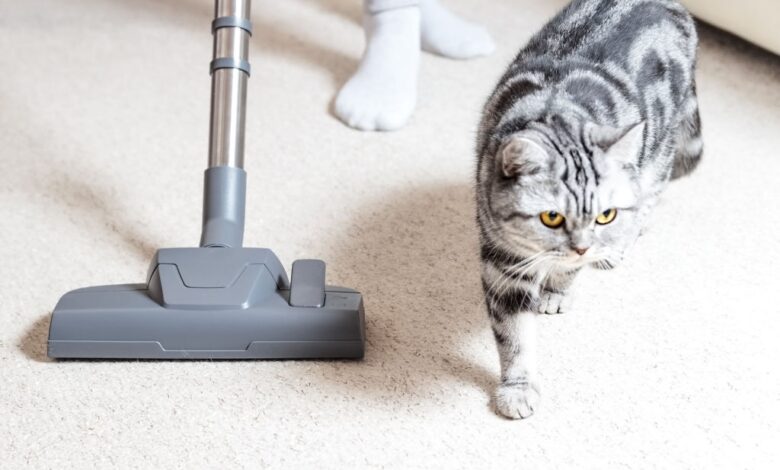 The Best Canister Vacuum for Pet Hair and Hardwood Floors