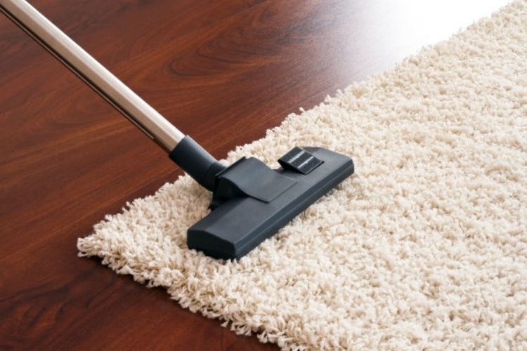 best vacuum for wool carpet