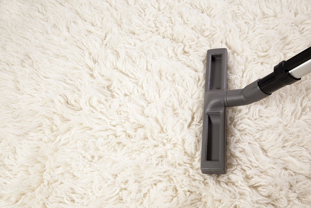 best vacuum for shag carpet