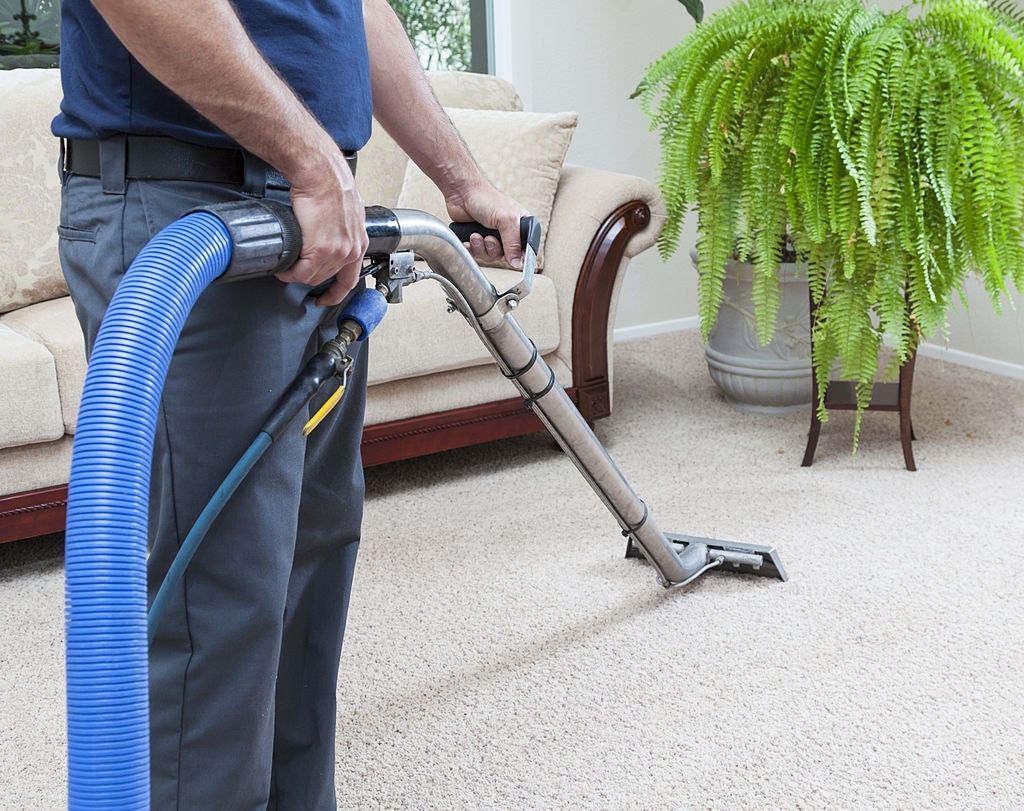 best vacuum for shag carpet