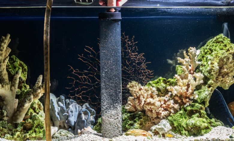 Best Aquarium Vacuum for Sand