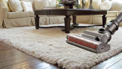 Photo of Best Vacuum for Plush Carpet