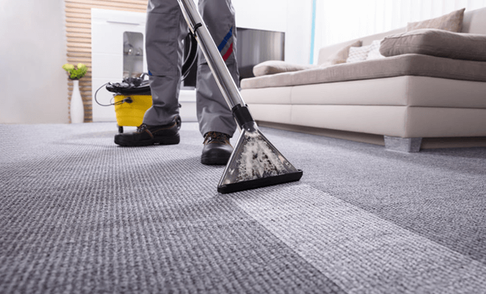 Best Wet Dry Vacuum for Home