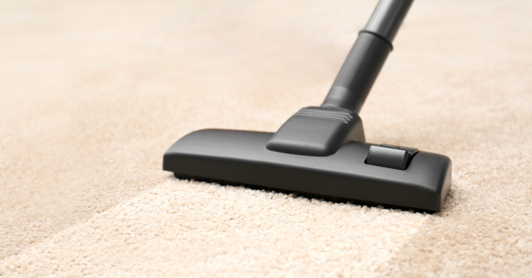 best vacuum for berber carpet